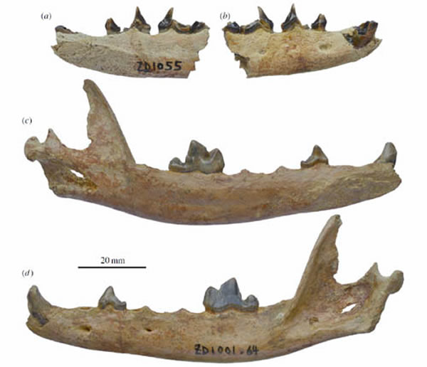 ����������ص����Ϻ���ʯ����������ͼ��