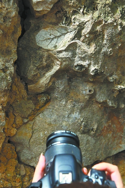 ������ǽ���洦�ɼ���ʯ����������ϰ��Ϊ���ˣ������������Ǻ��Ǿ�̾��