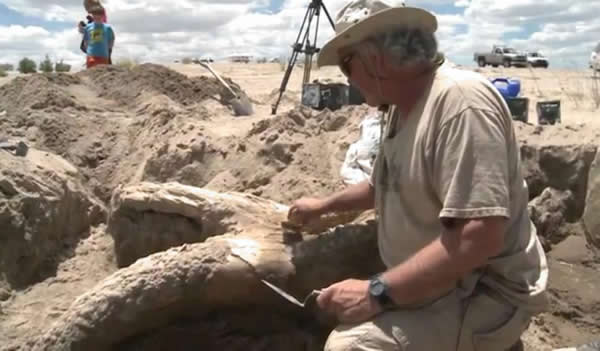 ������ī��������ɽ�����ҹ�԰����300����ǰ����ʷǰ����ʯ