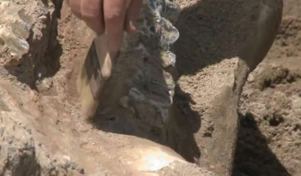 ������ī��������ɽ�����ҹ�԰����300����ǰ����ʷǰ����ʯ