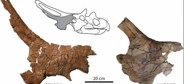 ��������һ���µĽ���������ī����˫������������ʯ