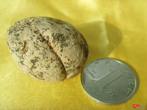 ��ǰ����������ɽ���ֵ������๷�໯ʯ