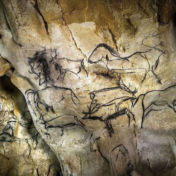 ����3.6����ǰʯ��ʱ��Фά�Ҷ���Grotte Chauvet�������������Ų���¼