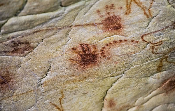 ����3.6����ǰʯ��ʱ��Фά�Ҷ���Grotte Chauvet�������������Ų���¼