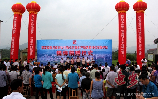 ����Զ�����Ҽ��ص㱣�������ﻯʯ���в������Ǵ廯ʯ����վ��ʽ����