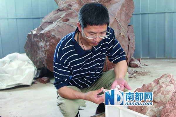 �й����ʿ�ѧԺ�����о����о�Ա��������ʿ���о�����������ʯ