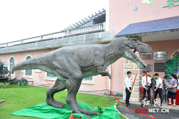 �����׽��������չչ���ĸߴ����͵Ŀ���ģ��