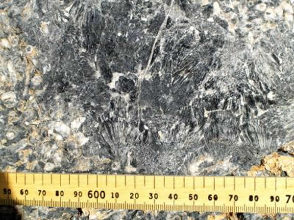 ���ױ��Ƿ�����5.48����֮�õ�ɺ����