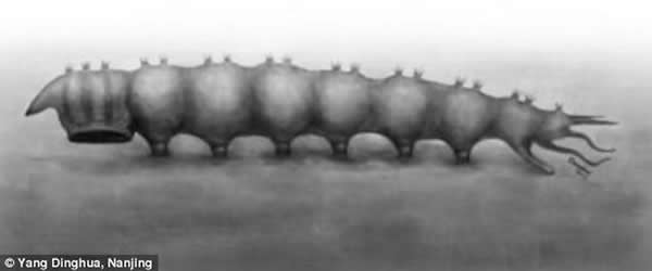 �й����ɹž������·���һ��1.65����ǰ�ĵ�ˮ��Ѫ�����٪�޼�����棬������Ҫ��ʳ����ѪҺ��