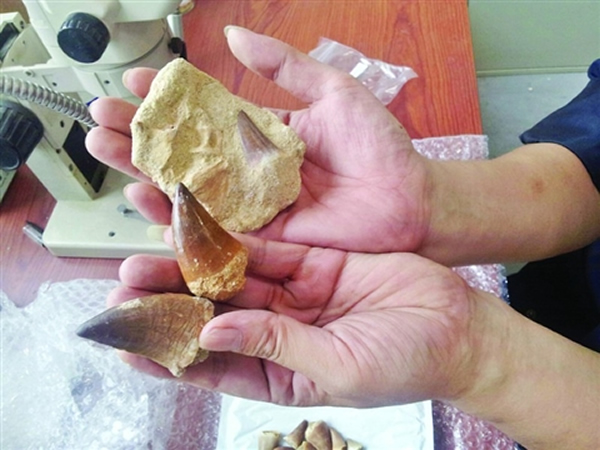 ���������������ʼ��в������������ݻ�ʯ