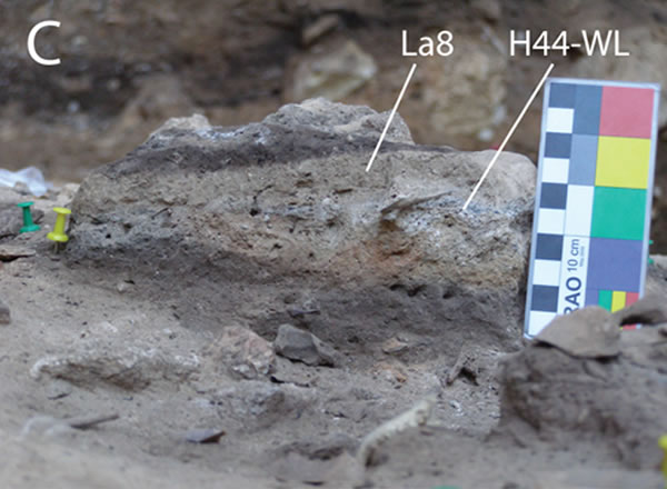 �������ᰲ��������ַ���־��5����ǰ�����㻯ʯ