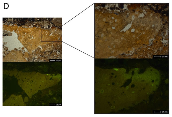 �������ᰲ��������ַ���־��5����ǰ�����㻯ʯ