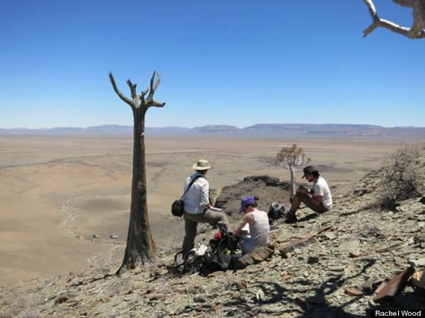 ��ѧ�������ױ����ϲ��о���ʯ