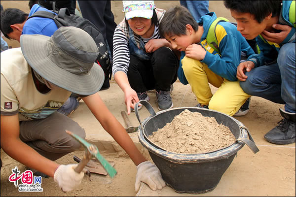 ˮ������ʯ��ʱ����ַ���е����ο��ŷ�����֯ϵ�л����