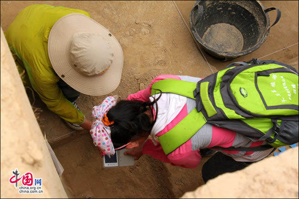 ˮ������ʯ��ʱ����ַ���е����ο��ŷ�����֯ϵ�л����