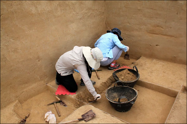 ˮ������ʯ��ʱ����ַ���е����ο��ŷ�����֯ϵ�л����