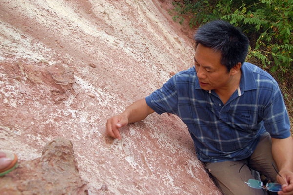 古生物学家汪筱林:感受“发现”的乐趣