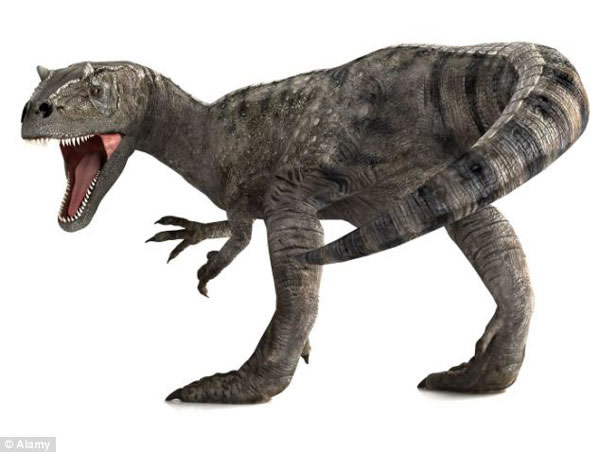 �о����������Ӵ�ĸ������ӵ��ǿ�����������