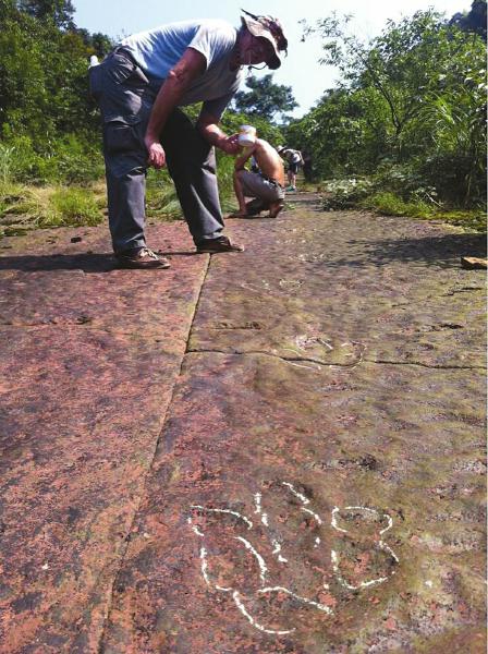 �Ĵ����ݹ��������й����ʳ�����㼣��ʯ