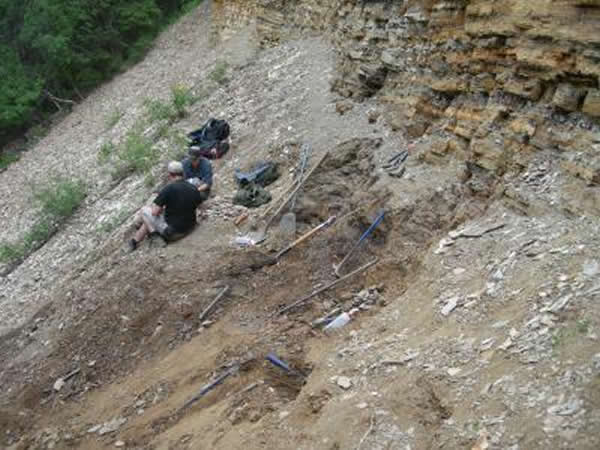 这幅图片描绘了在不列颠哥伦比亚省漂流木峡谷省立公园里的“北脸”化石遗址中的那些含有化石的沉积物,在那里发现了灭绝的刺猬化石。