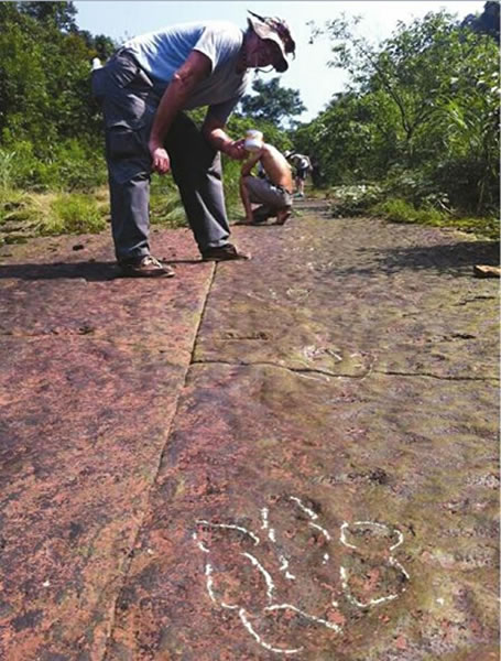 四川省古蔺县发现中国最长的肉食恐龙行迹化石