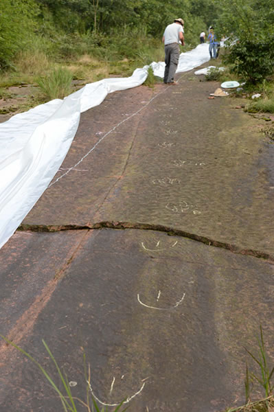 四川省古蔺县发现中国最长的肉食恐龙行迹化石