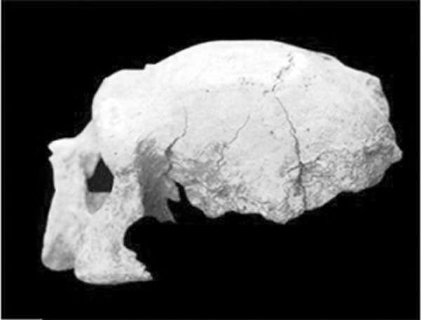 �Ͼ�ֱ����2��ͷ��