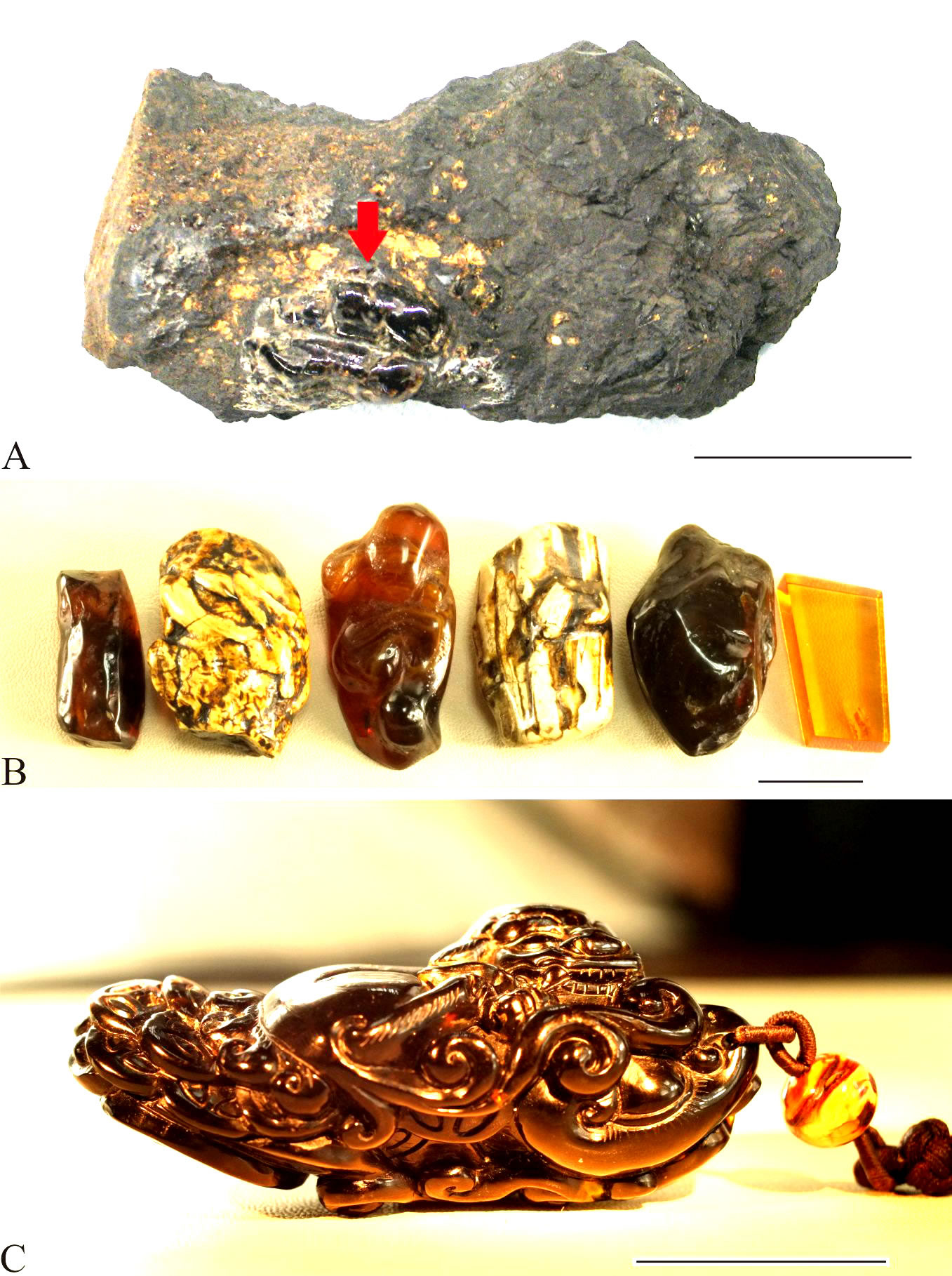 ��˳��������