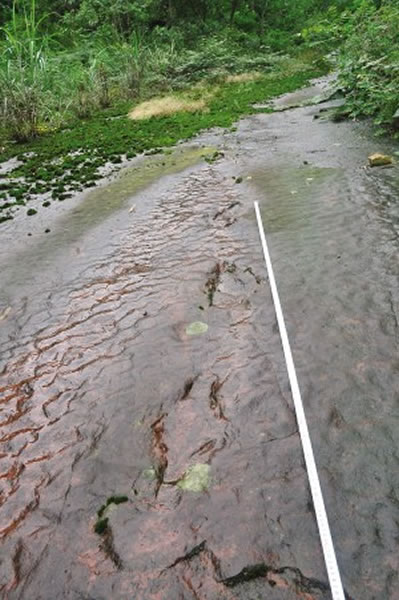 �����㼣��ʯ