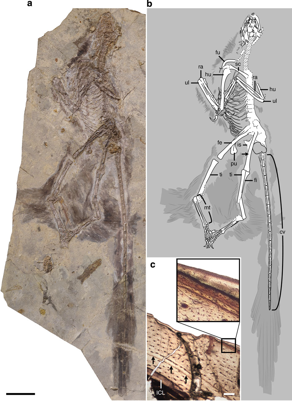 �й��������������ϳ����������ʯ