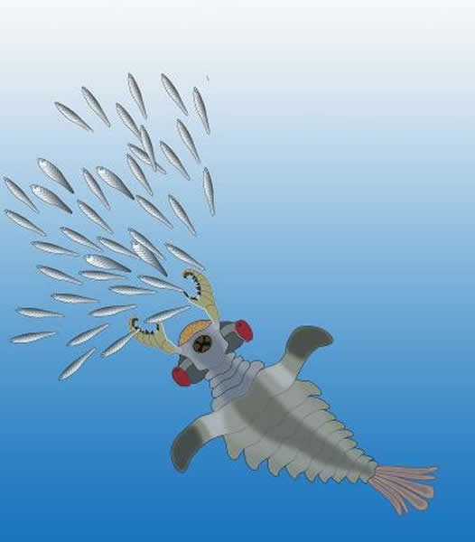 Lyararapax���º���ͳ׷��ԭʼ�����͸��ͼ