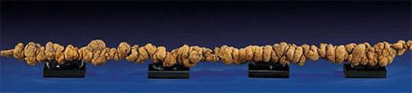 ��������Ŀ�����㻯ʯ����������ɼ������