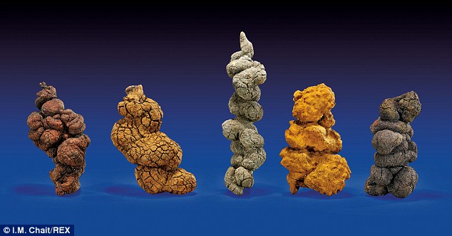 һͬ�����������������㻯ʯ