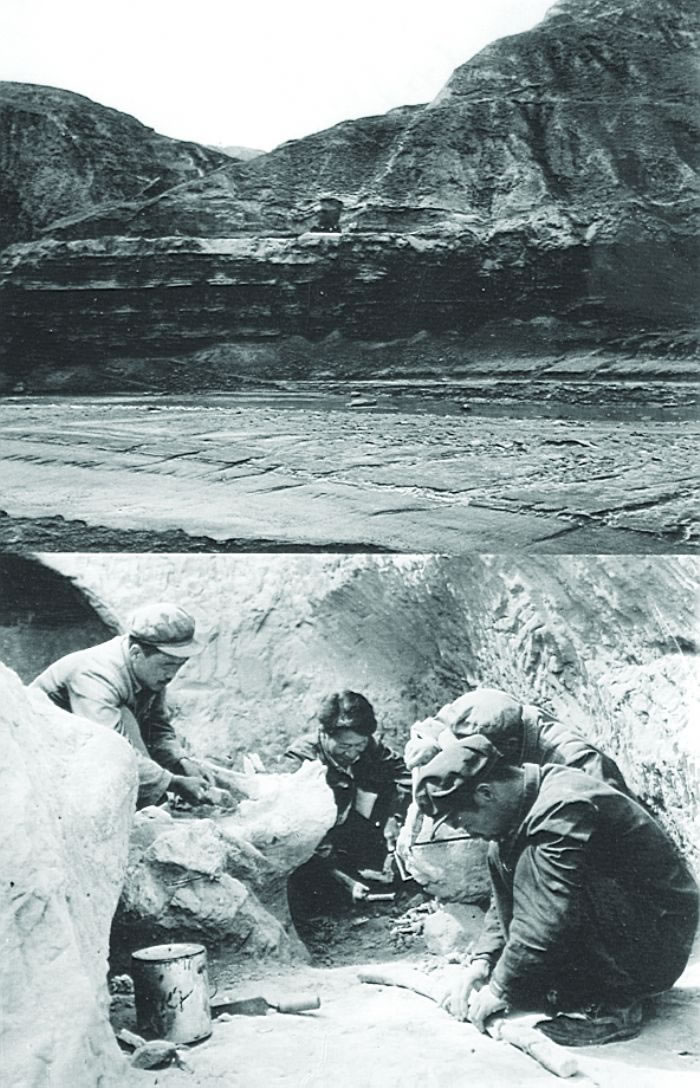 ��ͼ��������ò����ͼ�������ֳ�����������ͼ