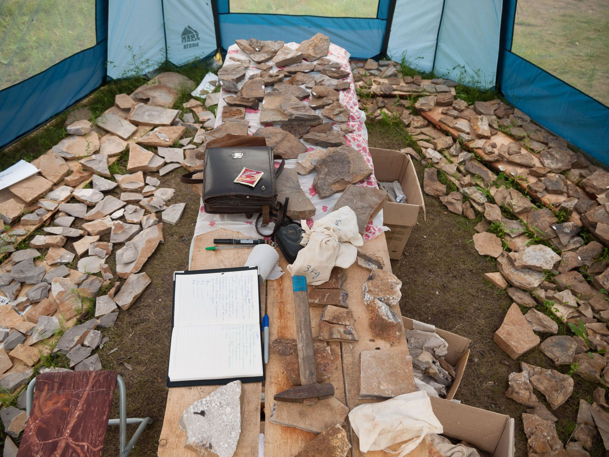 ����˹�������Ƿ��ֵ�����ë��ʳ�Կ���Kulindadromeus zabaikalicus