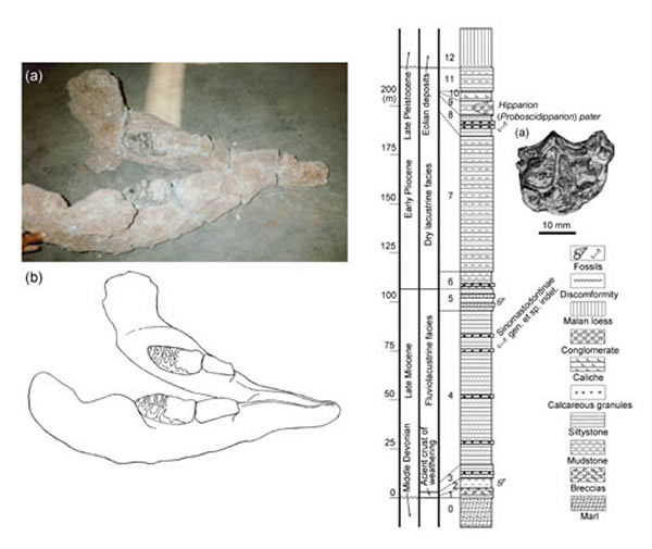 �л�������ǿ��²��ϵ���Ƭ���ۺϵز����棨�����빩ͼ��