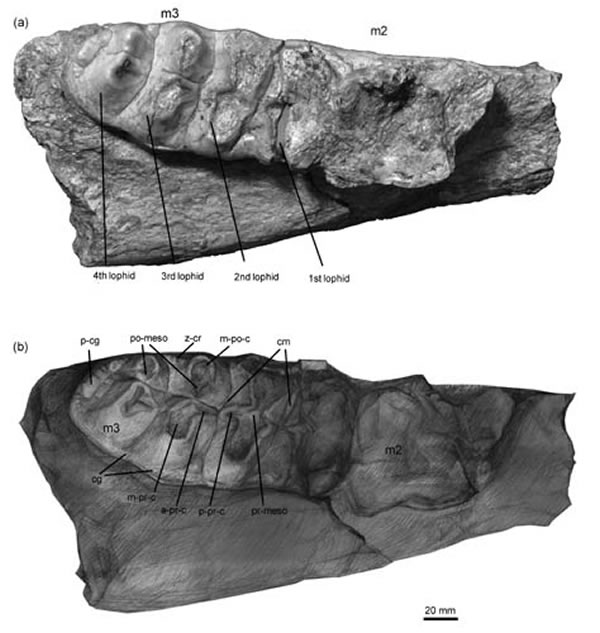 �л�������ǿ�δ�����ֵ���򢣨�����빩ͼ��