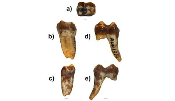 �·��ֵ����ݻ�ʯ�޸��˺����߳����޵���·��ͼ��ʱ���