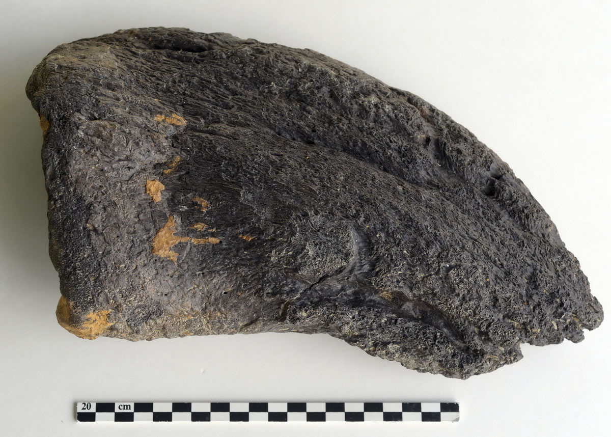 7��29���ڷ������ſˣ����ʵ�����Ŀ���ֺ�ǻ�ʯ