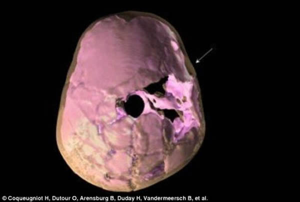 法国科学家通过3D重建技术还原10万年前古人类头骨