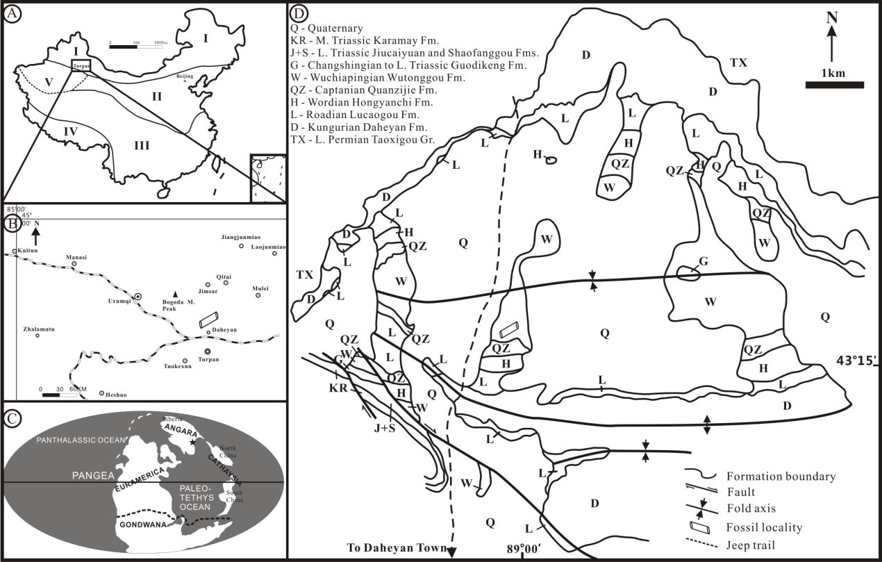 研究区地理位置图、地质图