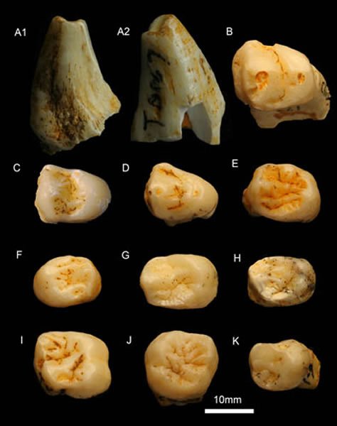 ���ϴ󶴻�ʯ����������ݣ������ͼ��