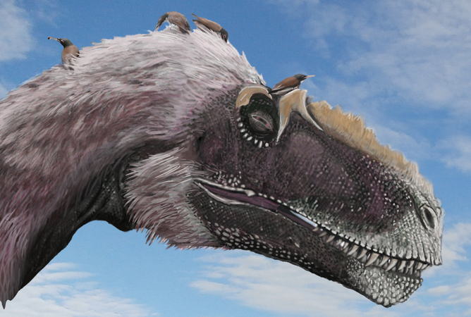 һȺ��������(Longirostravis)�ڰ����ǵĽ�Ե��Ⱥ֮һ�Ĵ��Ϳ��� (Yutyrannus)������ë�����������ֶ������ڰ��Ѽ�(Լ1.2����ǰ)��λ��