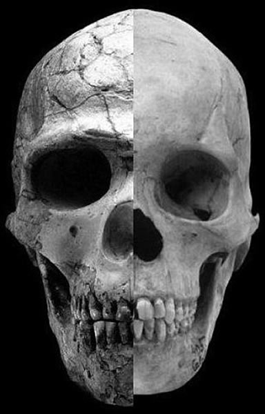 ������ǰ����غ����ˮƽ�Ľ���ʹ�������������͹�������õ��˷�չ