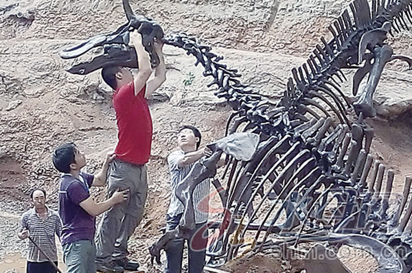 �������ൺ����63������ڡ��ط����