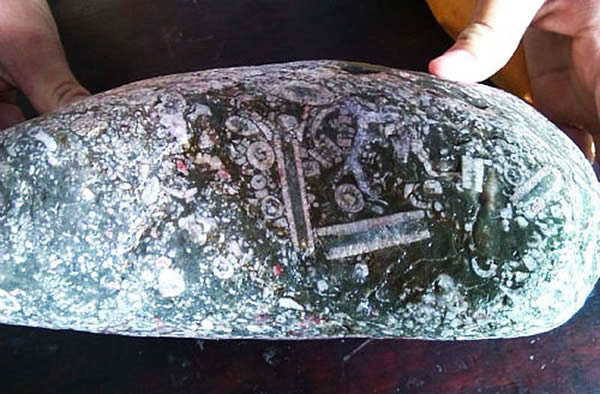 �ڳǿ���ޤ�����¿��徳�ڼ񵽵Ĺ����ﻯʯ