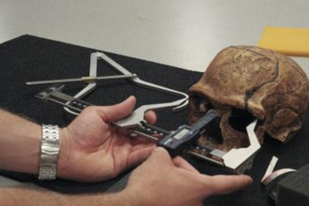 5����ǰ����غ����ˮƽ�Ľ��ʹٽ����������͹�������ķ�չ