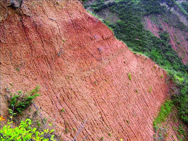 �����о��ҿ��������֮��