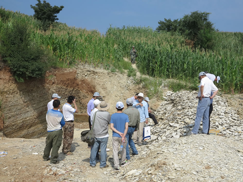 �׸����Ҽ��ص�����ﻯʯ���в��������Ŀͨ������