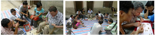 8.�ý�ҳ�����ƴ��͹��ߣ�9.��Ħ������ʯ�����������е�ʯƬ�ص㣻10.������ľ����ַ����Ƭ���м����۲�ͷ��ࡣ